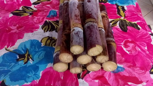 20 Sementes Cana Açúcar Roxa Gigante 5 Metros Macia Doce