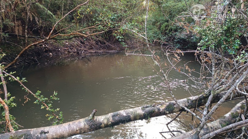 Parcela Con Acceso A Rio En Los Muermos