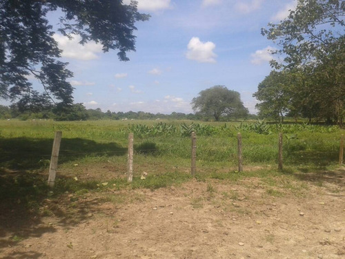 Imagen 18 de 22 de Finca Sector Caroní Estado Barinas En Venta