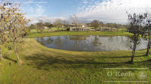 Imagen 24 de 30 de Casa En Venta De 5 Ambientes Con Parque Y Cochera En Fincas De Hudson