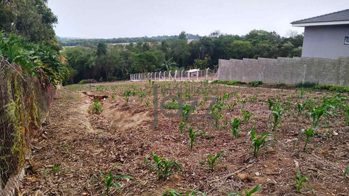 Imagem 1 de 10 de Terreno À Venda, 2250 M² Por R$ 330.000,00 - Condomínio Chácaras Flórida - Itu/sp - Te2748