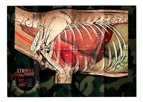 Life Size Deer Vitals 2 Sided Paper Range Target For Archery
