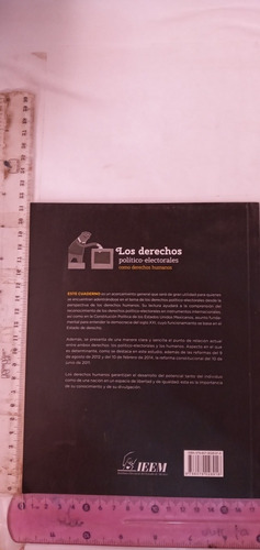 Los Derechos Político Electorales Armando Hernández Cruz (Usado)
