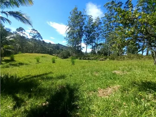 Lote Para Arriendo Via Don Diego Llanorande Perfecto Para Comercio
