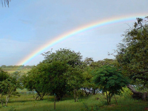 Imagem 6 de 14 de Chácara À Venda, 41000 M² Por R$ 800.000,00 - Pecém - São Gonçalo Do Amarante/ce - Ch0001