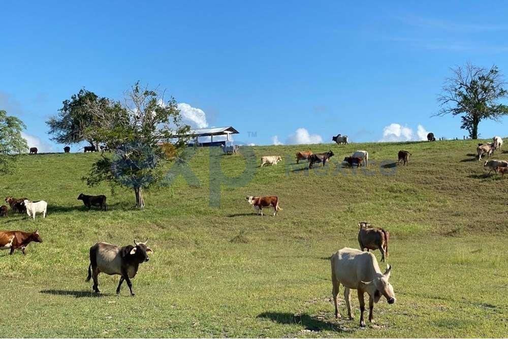 hermoso rancho con infraestructura ganado-agricultura metros cúbicos