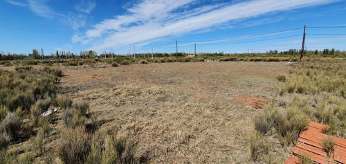 Imagen 3 de 9 de Venta De Terreno En Plottier