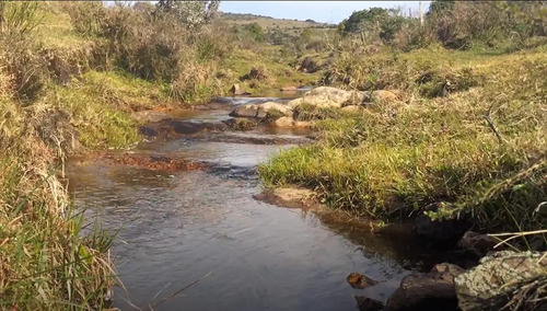 Imagen 4 de 7 de Chacra - Pueblo Edén