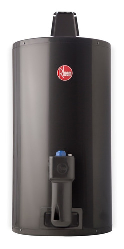 Termotanque Rheem 80 Ltr Nueva Linea Bajo Consumo Gas Colgar