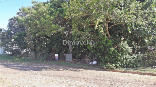 Imagem 3 de 4 de Terreno - Espirito Santo - Ref: 16613 - V-16613