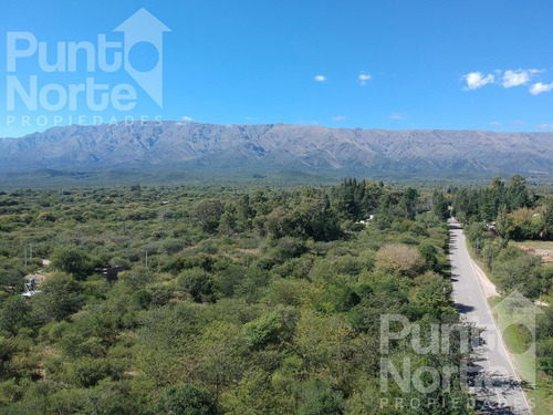 Imagen 11 de 16 de Terreno - Piedra Blanca Abajo