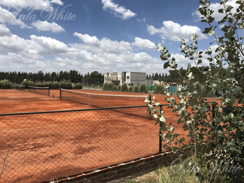 Imagen 4 de 4 de Venta - Lote En San Felipe