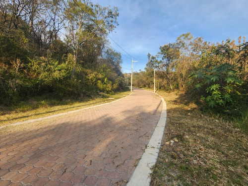 Venta Lote Gladiola 42 Con Vistas Panorámicas Y Todos Los Servicios Y Proyecto Incluído. A Unos Pasos De Las Amenidades En Nueva Zona De Fracc Rancho San Diego Ixtapan De La Sal Edomex