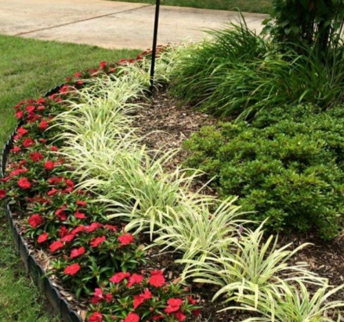 Imagen 7 de 10 de Servicio De Jardinería