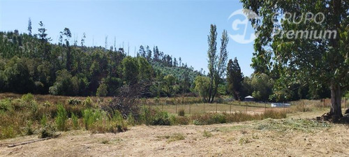 Parcela Semi Plana En Venta En Hualqui