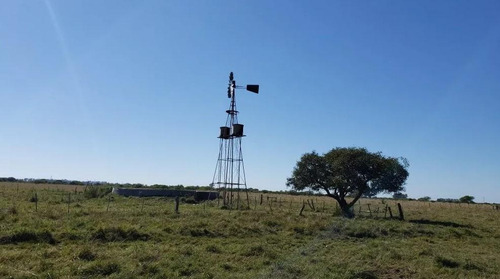 Imagen 6 de 9 de Terreno En Venta Entre Ríos