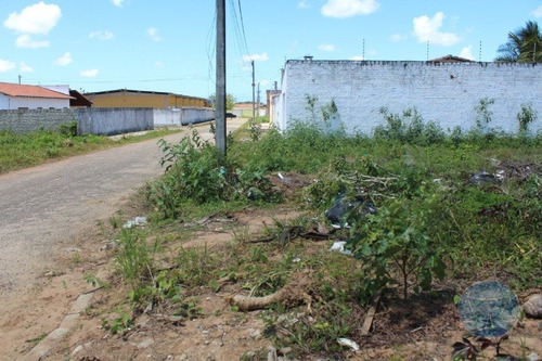 Imagem 7 de 15 de 11093) Terreno Em Parnamirim - V-11093