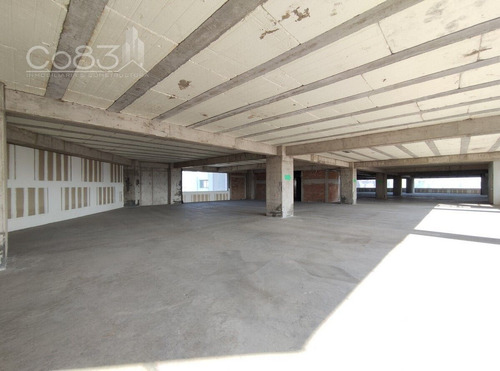 Renta - Oficina - Diamante Toreo - 2071 M2 - Piso 9