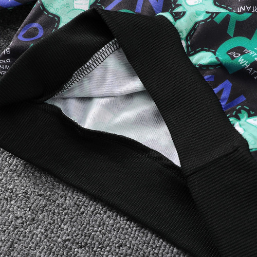 Conjunto De Sudadera Con Estampado De Dinosaurios Para Niños