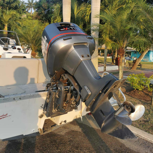 Imagen 3 de 10 de Lancha Bay Hawk 1996 20ft Yamaha 115hp Pesca Remolque Fibra