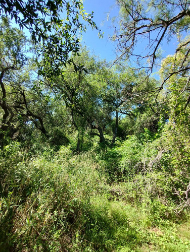 En Venta Espectacular Lote Arbolado De 4000 M2 | Villa De Las Rosas | Escritura Y Servicios