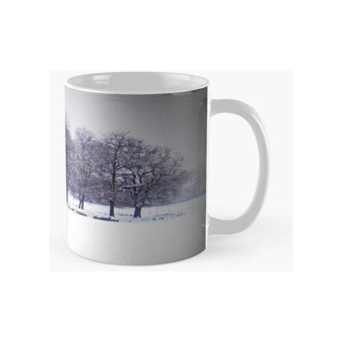 Taza  herne Hill Durante La Nieve. Tomada En Enero De 2013 C