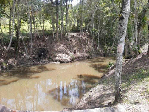 Imagem 30 de 30 de Chacara - 425 - 69551340
