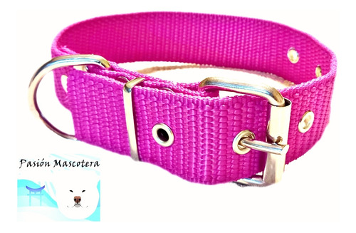 Collar Reforzado Para Razas Fuertes - Pitbull - Rott - Dogo