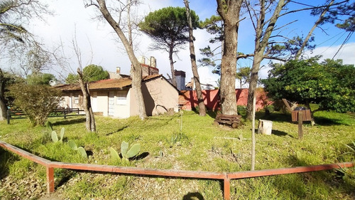 Imagen 3 de 11 de Oportunidad- Monoambiente- Villa Gesell