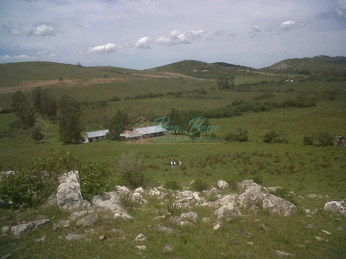 Imagen 8 de 13 de Chacra A 15 Minutos Punta Ballena. - Maldonado