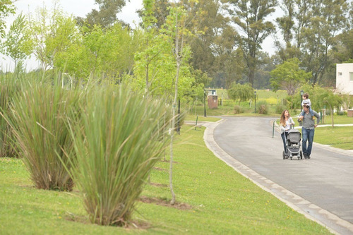 Imagen 7 de 8 de Terreno - San Ramiro Al 100