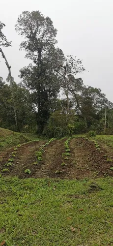 215 Se Vende Hermosa Casa Campestre Ubicada En La Elvira Vereda El Vergel / Cali