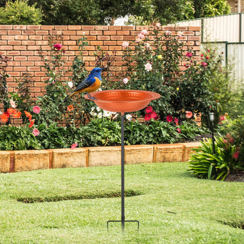 Comedero Para Pájaros Con Estaca, Práctico Comedero Para