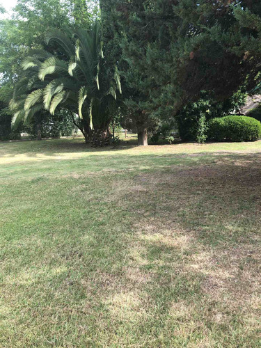Imagen 2 de 14 de Casa Parque Gorriti Lote 1000 Mts Con Casa Y Servicios