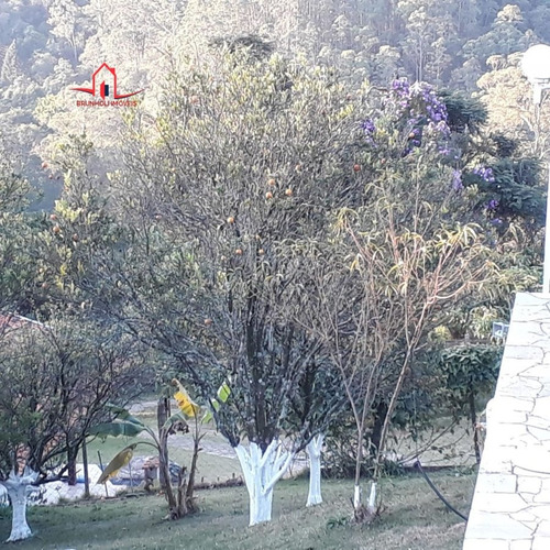 Imagem 16 de 30 de Chácara A Venda No Bairro Vila Esperança Em Jundiaí - Sp. - 3899-1