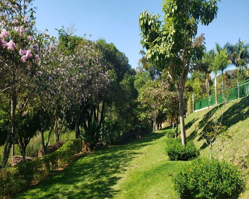 Imagem 6 de 8 de Terreno - Te01086 - 69288891