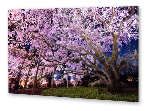 Cuadro 50x75cm Paisaje Japon Hanami Arbol Cerezo Plaza