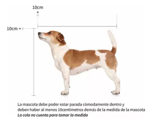 Transportadora Jaula Canil Perros Cachorros Gatos Gipsy Xs Diseño Negro / Gris