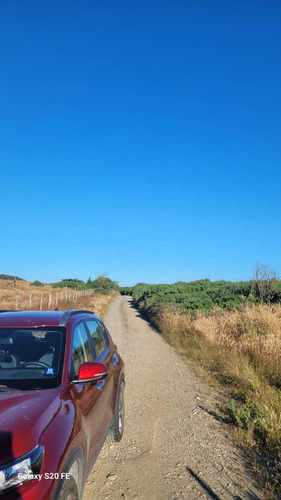 Vive En El Campo, Parcelas En Maullín. (73358)