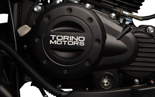 Imagen 4 de 8 de Moto Torino Trotter 250 23