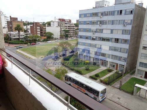 Aval - Venta Apartamento (con Renta) 2 Dormitorios, 2 Baños, Malvin A Mtrs De Rambla Usd 225.000