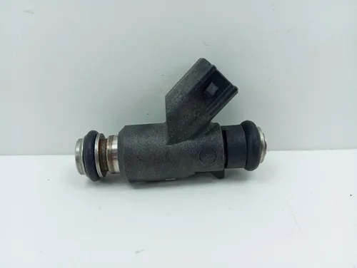 Inyector De Gasolina Zna