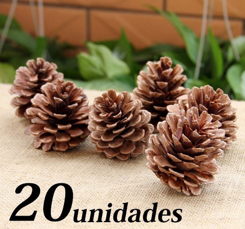 Pinhas Naturais Para Enfeites, Artesanatos E Decorações 20