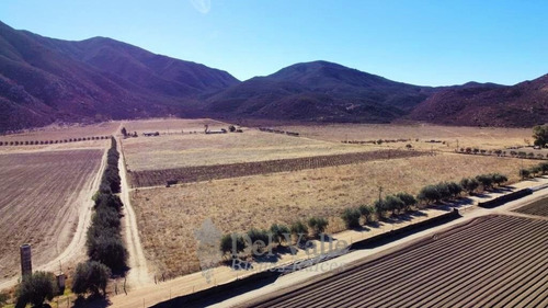 Imagen 1 de 7 de 10 A 40 Ha A Un Costado De La Cetto En Valle De Guadalupe
