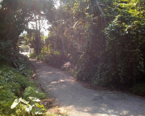 Imagem 1 de 4 de Terreno - Te-15 - 32142490
