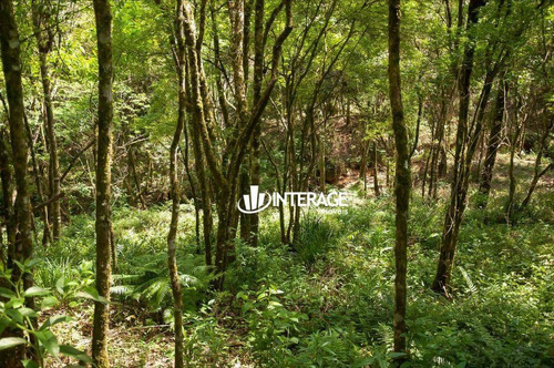 Imagem 15 de 25 de Terreno À Venda, 2335 M² Por R$ 472.900,00 - São Braz - Curitiba/pr - Te0350
