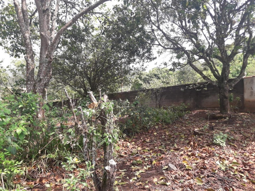 Imagem 5 de 24 de Chácara Formada Em Piracaia, Totalmente Plana Espaço Para Piscina E Campo De Futebol. - Ch0067