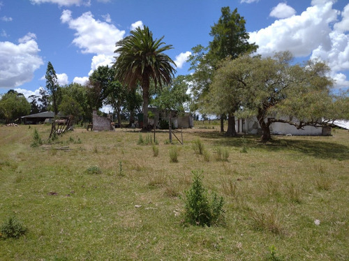 Chacra De 13 Hectáreas Con Casa Y Cañada