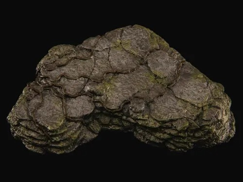 Figura Estegosaurio Dinosaurio Rebor