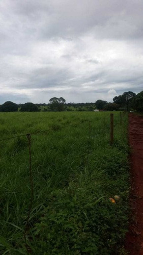 Imagem 8 de 25 de Fazenda Com 178 Hectares Rica Em Agua Em Felixlandia Mg - 36425
